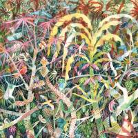 Des lichens, mais pas de mousse chez Dijf Sanders…