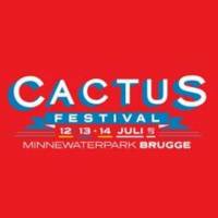 Cactusfestival 2013 – vrijdag 12 juli 2013 – Waar Pop – Rock - Chanson en Noise elkaar kruisen