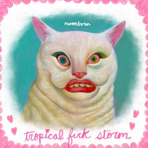 Un maxi single en cassette pour Tropical Fuck Storm