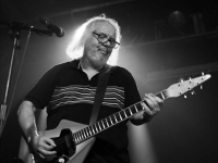 Les hauteurs terrifiantes de Bevis Frond