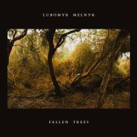 Fallen trees
