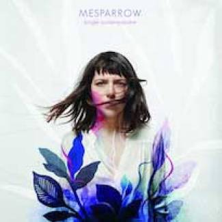 Mesparrow met sa "Jungle contemporaine" sur "Les écrans"