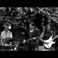 Flat Earth Society ft Mauro Pawlowski - Ham sessions - 'Terms of Embarrassment’
