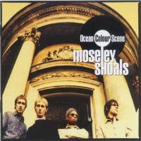 Moseley shoals