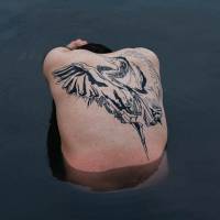 Blue heron