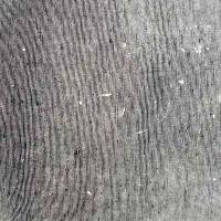 Hey quoi ? C’est un nouvel album de Low…