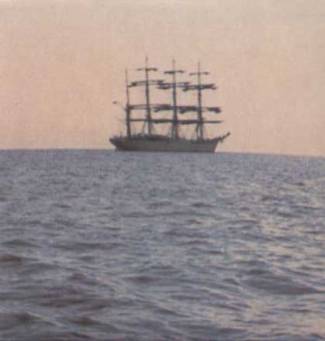 The doctor came at dawn