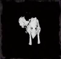 Sigur Rós : une créativité sans fin