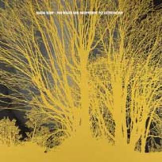 Nada Surf a la tête dans les étoiles…