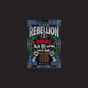 Rebellion Tour 2012 – met Madball, H20 en deez Nuts kon het niet meer stuk