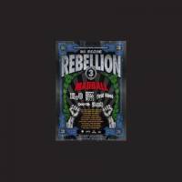 Rebellion Tour 2012 – met Madball, H20 en deez Nuts kon het niet meer stuk