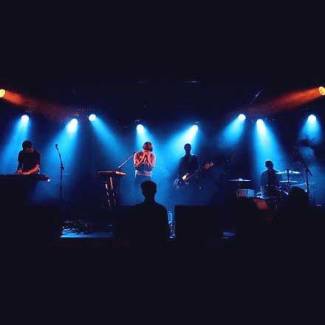 BirdPen - Het kleine broertje wordt groot