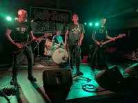 The Spanks - Local Punkheroes - Tijdloze garagerock vol passie