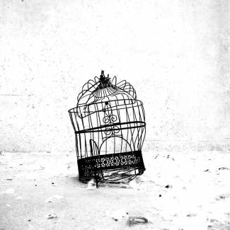 Breakout