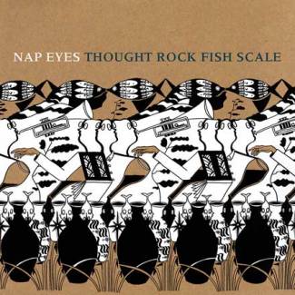 Thought rock fish scale