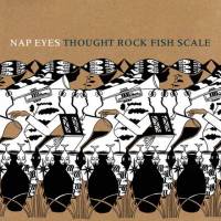 Thought rock fish scale