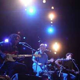Yo La Tengo: Freewheeling Yo La Tengo