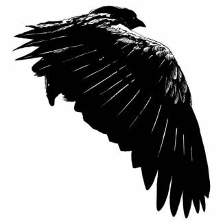 Somnia -single-  