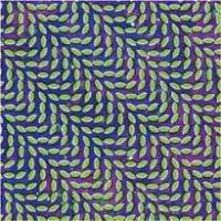 Une bonne résolution d’Animal Collective pour 2009…