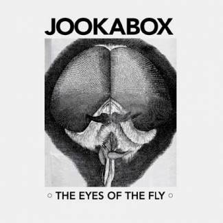 The eyes of the fly