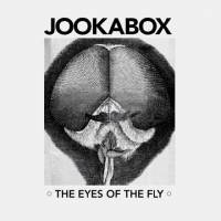 The eyes of the fly
