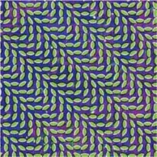 Merriweather Post Pavilion