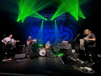 Ty Segall - Onbesuisde psych-rock