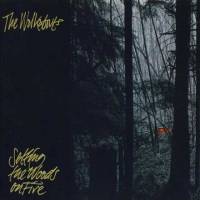 Setting The Woods On Fire