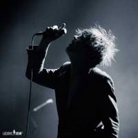 Peter Doherty - Een bewogen avond