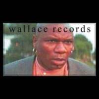 Wallace Records ou l’alternatif de l’alternatif…