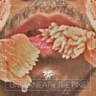 Toro Y Moi, clap 2e