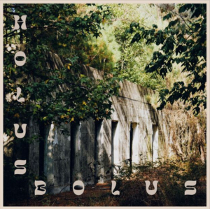 Holus Bolus (single)