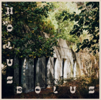 Holus Bolus (single)
