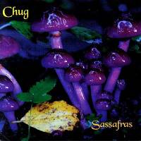 Sassafras