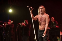 Iggy Pop op Jazz Middelheim - Iggy Pop is bevrijd!