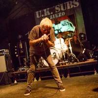 UK Subs, TV Smith, Contingent - Tot volgend jaar is punk nog niet dood