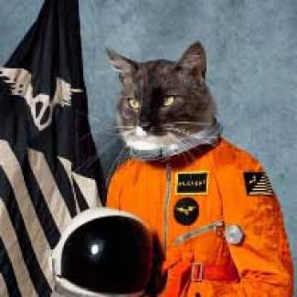 Klaxons surfent dans le vide
