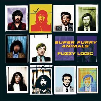 Fuzzy logic