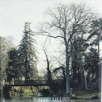 Bridge Over Trouble Waterllillies