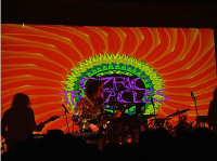 Ozric Tentacles - Kosmisch feestje in het paddobos