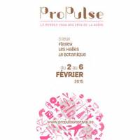 ProPulse 2015 : vendredi 6 février