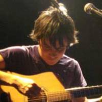 Band met potentieel, The Dodos