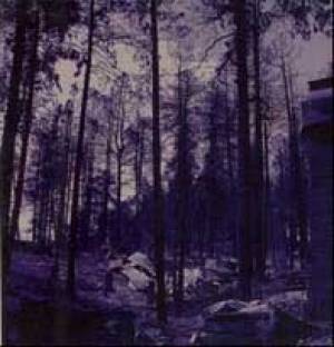 9-Songs Split
