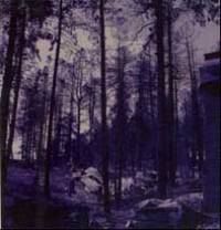 9-Songs Split