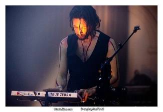 True Zebra - Veel mensen proberen de zwarte kant van het leven weg te duwen, niet te accepteren. Terwijl je dat eigenlijk zou moeten omarmen