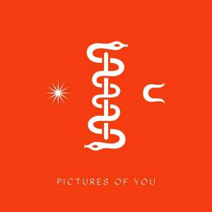 Pictures of You -single-