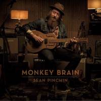 Monkey brain
