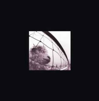 vs. &amp; Vitalogy 3 CD Deluxe Edition (CD, Box set)