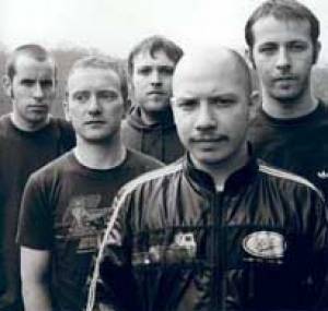Les volatiles de Mogwai