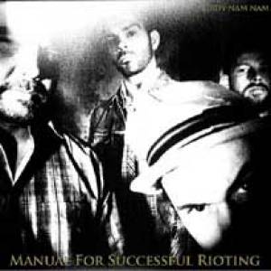 Manuel for successful rioting